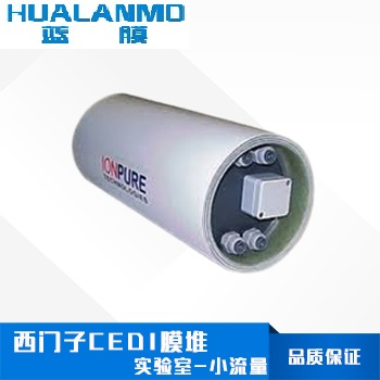 西门子小流量CEDI膜堆_IONPURE MX实验室模块-蓝膜